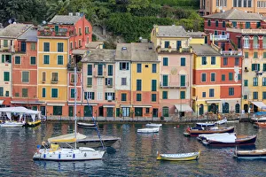 Liguria Prints: Harbour and typical coloured houses, Portofino, province of Genoa, Liguria, Italy, Europe