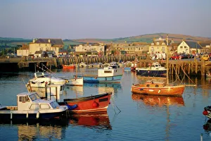 Anchoring Prints: The harbour, West Bay, Dorset, England, UK