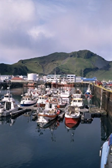 Harbour, Westman Islands
