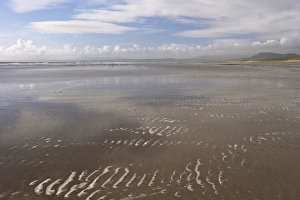 Sparse Prints: Harlech beach and Tremadog Bay in summer sunshine, Gwynedd, Wales, United Kingdom, Europe