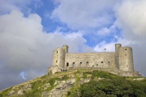 Traditionally Welsh Prints: Harlech Castle in summer sunshine