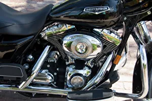 Florida Prints: Harley Davidson motorcycle