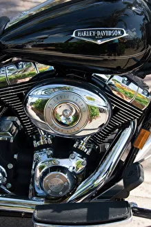 Florida Prints: Harley Davidson motorcycle