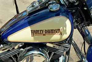 Harley Davidson motorcycle
