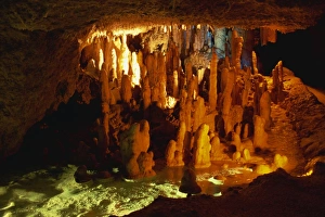 Surface Processes Prints: Harrisons Cave, Barbados, West Indies, Caribbean, Central America