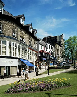 Yorkshire Prints: Harrogate, Yorkshire, England, United Kingdom, Europe