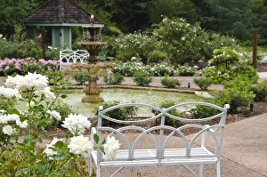 Harry P. Leu Gardens, Orlando, Florida, United States of America, North America