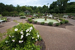 Harry P. Leu Gardens, Orlando, Florida, United States of America, North America