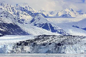 Valdez Prints: Harvard Glacier in College Fjord, Southeast Alaska, United States of America, North