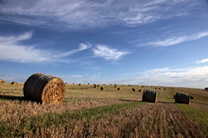 Images Dated 22nd August 2010: Harvested cornfield, Saargau near Kirf, Rhineland-Palatinate, Germany, Europe