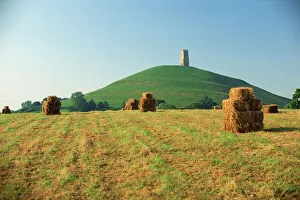 Harvest Prints: Harvested fields before Glastonbury Tor, Somerset, England, United Kingdom, Europe