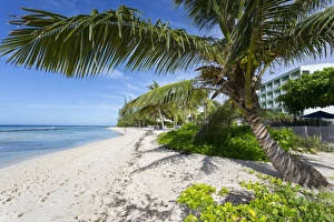 Barbados Prints: Hastings Beach, Christ Church, Barbados, West Indies, Caribbean, Central America