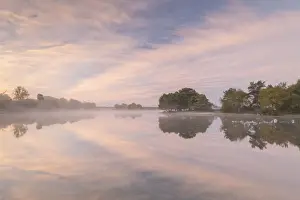 Ethereal Prints: Hatchet Pond reflecting a beautiful pink misty sunrise, Beaulieu, New Forest, England