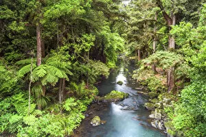 Lush Gallery: Hatea River landscape at the Whangarei Falls, a waterfall in the Northlands Region of North Island