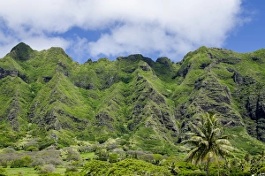 Pacific Islands Prints: Hau ula Forest Reserve, Koolau Mountain Rage, Oahu, Hawaii, United States of America