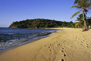 Foot Print Prints: Hawksbill Beach, Antigua, Caribbean, West Indies, Central America