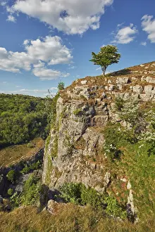 Blossom Prints: Hawthorn tree in flower on the cliff edge overlooking Cheddar Gorge in springtime in the Mendip Hills region of