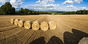 Images Dated 21st August 2011: Hay bales in The Cotswolds, Longborough, Gloucestershire, England, United Kingdom, Europe