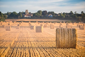 Hay Bale Prints: Hay bales in the Cuddesdon countryside, Oxfordshire, England, United Kingdom, Europe