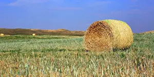 Equipment Prints: Hay bales in a field under blue sky and distant hills in Southern Alberta
