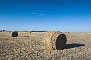 Hay Bales Prints: Hay bales on a field along Route two through Nebraska