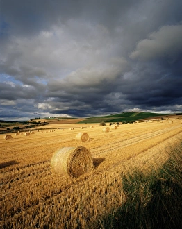 Hay bales, near Avoch