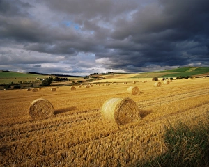 Hay bales, near Avoch
