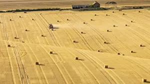 Cultivated Prints: Hay bales on rolling chalk fields near the village of Fridaythorpe, on the East Yorkshire