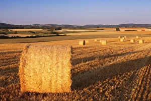 Agricultural Prints: Hay bales at sunset, Swabian Alps, Baden-Wurttemberg, Germany, Europe