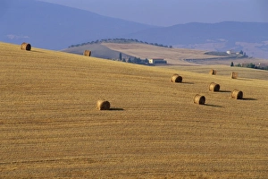 Val Dorcia Prints: Hay bales, Val d Orcia
