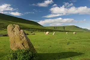 Eating Prints: Hay Bluff, near Hay on Wye, Brecon Beacons, Powys, Wales, United Kingdom, Europe