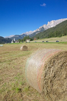 Canazei Prints: Hay field near Canazei, Canazei, Trentino-Alto Adige, Italy, Europe
