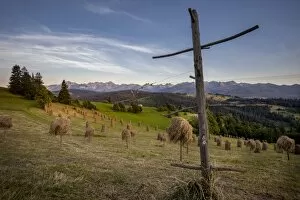 Wooden Post Gallery: Hay stooks in foothills of Carpathian Mountains on outskirts of Bukowina Tatrzanska village