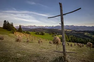 Wooden Post Prints: Hay stooks in foothills of Carpathian Mountains on outskirts of Bukowina Tatrzanska village