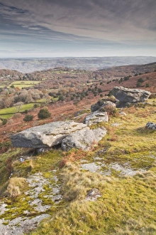 Moor Prints: Hayne Down in Dartmoor National Park, Devon, England, United Kingdom, Europe