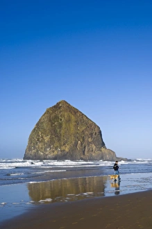 Images Dated 10th November 2007: Haystack Rock, Cannon Beach, Oregon, United States of America, North America