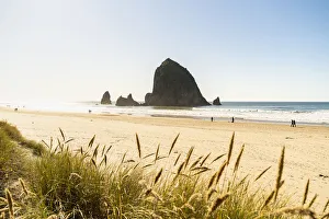 The Needles Prints: Haystack Rock and The Needles, with Gynerium spikes in the foreground, Cannon Beach