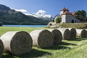 Haystacks lying on the bank of Lake Sils in Silvaplana, by Saint Moritz, Graubunden Switzerland, Europe