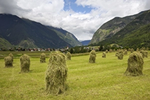 Stooks Prints: Haystacks, near Umhausen, Otztal valley, Tyrol, Austria, Europe