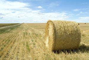 Generic Location Prints: Haystacks, North Dakota