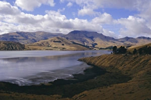 Reflect Prints: Head of the Bay