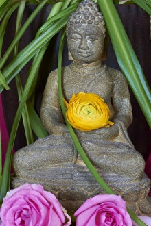 Offerings Prints: Head of Buddha statue, Bangkok, Thailand, Southeast Asia, Asia