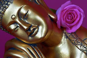 Buddha Prints: Head of Buddha statue, Bangkok, Thailand, Southeast Asia, Asia