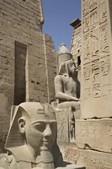 Inscription Prints: Head of Ramses II in foreground and Colosssus of Ramses II behind, Luxor Temple, Luxor