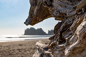 Decay Prints: Headland at La Push Beach in the the Pacific Northwest