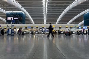Images Dated 15th November 2010: Heathrow Airport Terminal 5 interior, London, England, United Kingdom, Europe