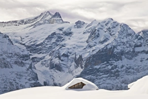 Images Dated 13th March 2009: Heavy fall of snow in front of the North Face of the Eiger, Grindelwald
