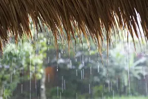 Dripping Prints: Heavy monsoon rain dripping off a rice straw thatched roof