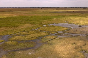 Images Dated 15th July 2007: Helicopter flight over Busanga Plains, Kafue National Park, Zambia, Africa