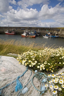 Images Dated 2nd August 2006: Helvick Head Pier